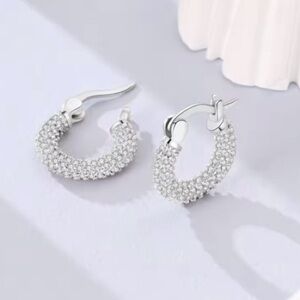 New 🎁 .925 Sterling Crystal Earrings